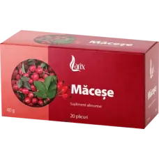 Larix - Rosehip Tea 20x2g