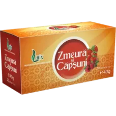 Larix - Rapsberry and Strawberry Tea 20x2g