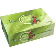 Larix - Forest Fruits Tea 100x2g