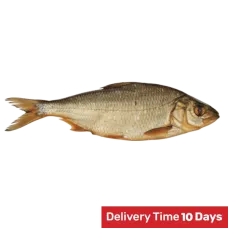 Rusnes Zuvis - Hot Smoked Twait Shad kg