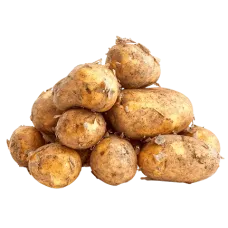 Fresh Potatoes in Bag 2.5kg  Lithuanian