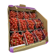 Fresh Redcurrant ~250g pcs