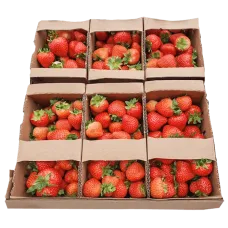 Fresh Strawberries ~1kg pcs