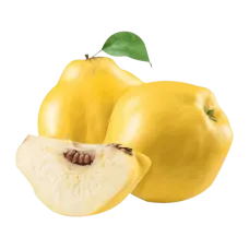 Fresh Quince ~3.5kg pack