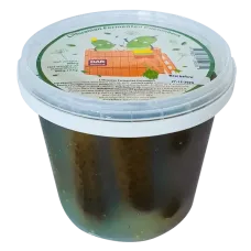 Darzovija - Sour Cucumber in Bucket 600g