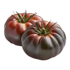Fresh Purple Tomatoes kg
