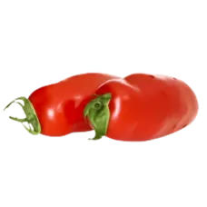 Fresh Pepper Tomatoes kg