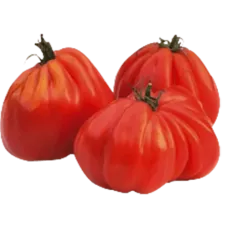 Fresh Beef Heart Tomatoes kg