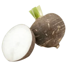 Fresh Black Turnip kg