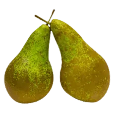 Fresh Pear Mloda kg