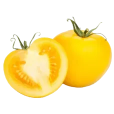 Fresh Yellow Tomatoes kg