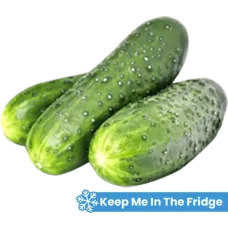 Fresh PL Cucumbers kg